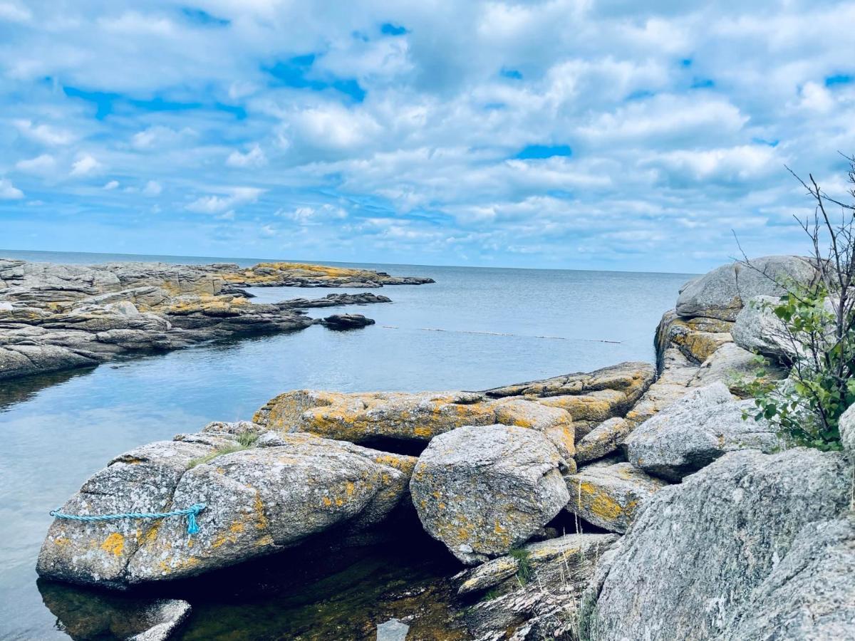 Nybygget Hus I Svaneke Taet Pa Klipper, Skov Og Hav Buitenkant foto